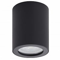 потолочный светильник denkirs dk3007-bk в Нижнекамске