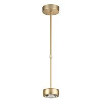 подвесной светодиодный светильник odeon light ottico 3874/10l в Нижнекамске