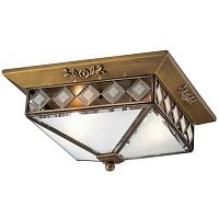 потолочный светильник odeon light morne 2544/2 в Нижнекамске