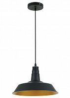 подвесной светильник odeon light kasl 3378/1 в Нижнекамске