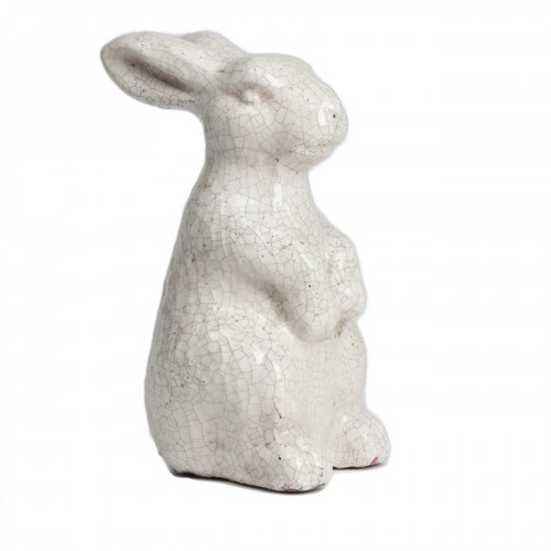 кролик декоративный rabbit в Нижнекамске