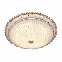 потолочный светодиодный светильник silver light louvre 843.50.7 в Нижнекамске