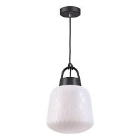 уличный подвесной светильник novotech conte 370601 в Нижнекамске