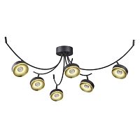 потолочная светодиодная люстра odeon light fineca 3812/42cl в Нижнекамске