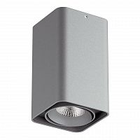 потолочный светодиодный светильник lightstar monocco 052139 в Нижнекамске