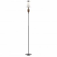 торшер lightstar escica 806710 в Нижнекамске