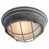 потолочный светильник lussole loft lsp-9881 в Нижнекамске