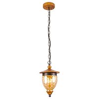 подвесной светильник arte lamp catena a6711sp-1br в Нижнекамске