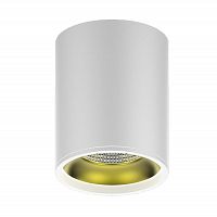 потолочный светодиодный светильник gauss overhead hd010 в Нижнекамске