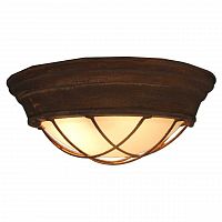 потолочный светильник lussole loft grlsp-8068 в Нижнекамске
