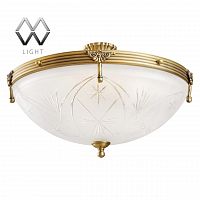 потолочный светильник mw-light афродита 317012905 в Нижнекамске
