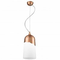 дизайнерский подвесной светильник spot light daga 1676113 в Нижнекамске