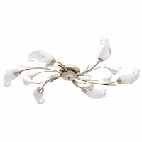 потолочная люстра mw-light восторг 242016906 в Нижнекамске