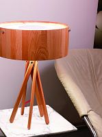настольная лампа artpole eco 001278 в Нижнекамске