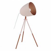 настольная лампа eglo chester-p 49038 в Нижнекамске
