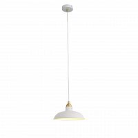подвесной светильник st luce pietanza sl323.503.01 в Нижнекамске