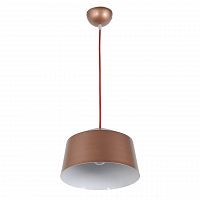 подвесной светильник arti lampadari tempo e 1.3.p1 br в Нижнекамске