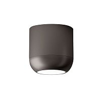 потолочный светильник pl urban m matt nickel от axo light в Нижнекамске