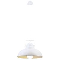 подвесной светильник arte lamp martin a5213sp-1wg в Нижнекамске