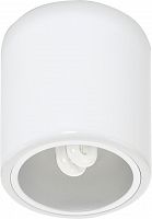 потолочный светильник nowodvorski downlight 4865 в Нижнекамске