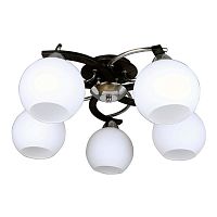 потолочная люстра omnilux caldiero oml-25407-05 в Нижнекамске
