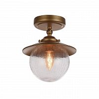 потолочный светильник favourite farola 2027-1u в Нижнекамске