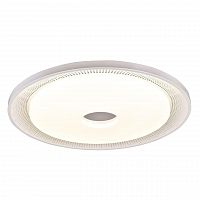 потолочный светодиодный светильник f-promo dafna 2463-6c в Нижнекамске