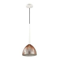 подвесной светильник odeon light paolo 4010/1 в Нижнекамске