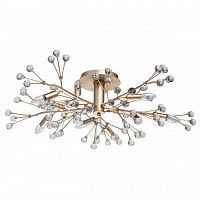 потолочная люстра mw-light адриатика 280011810 в Нижнекамске