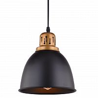 подвесной светильник arte lamp eurica a4245sp-1bk в Нижнекамске