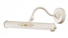 подсветка для картин st luce illuminazione sl574.501.02 в Нижнекамске