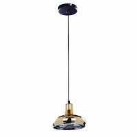 подвесной светильник spot light fiji 9704112 в Нижнекамске
