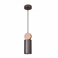 подвесной светильник favourite otium 2215-1p в Нижнекамске