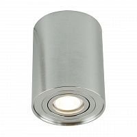 потолочный светильник arte lamp a5644pl-1si в Нижнекамске