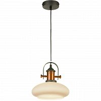 подвесной светильник lussole loft grlsp-9845 в Нижнекамске