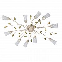 потолочная люстра mw-light восторг 242015510 в Нижнекамске