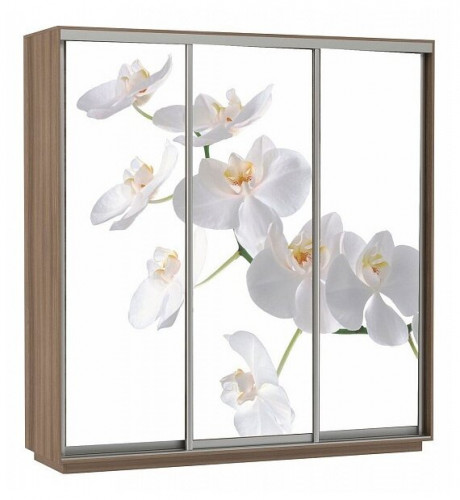 шкаф-купе для одежды е1 экспресс фото трио орхидея в Нижнекамске