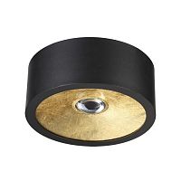 потолочный светильник odeon light glasgow 3878/1cl в Нижнекамске
