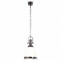 подвесной светильник lussole loft grlsp-9613 в Нижнекамске