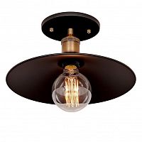 потолочный светильник loft it loft3101c в Нижнекамске