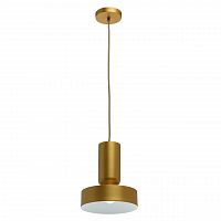 подвесной светильник mw-light элвис 1 715010201 в Нижнекамске