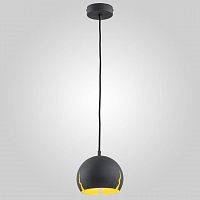 подвесной светильник tk lighting 2489 shot в Нижнекамске