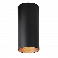 потолочный светодиодный светильник favourite drum 2249-1u в Нижнекамске