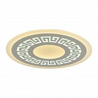 потолочный светодиодный светильник f-promo ledolution 2273-8c в Нижнекамске