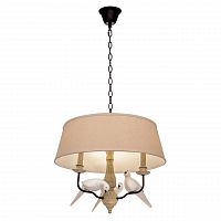подвесная люстра loft it loft1029a-2 в Нижнекамске