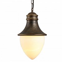 уличный подвесной светильник arte lamp vienna a1317so-1bn в Нижнекамске