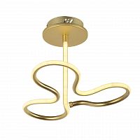 потолочный светодиодный светильник arti lampadari angelo l 1.2.35.03 g в Нижнекамске
