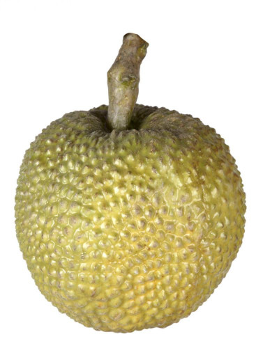 декор durian в Нижнекамске