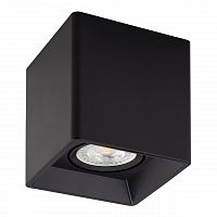потолочный светильник denkirs dk3030-bk в Нижнекамске