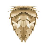плафон conia brushed brass в Нижнекамске